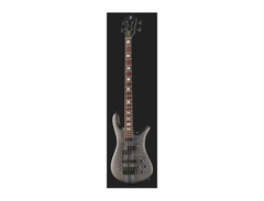 Spector Euro LX 4 BSM image 2