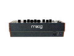 Moog Spectravox image 3