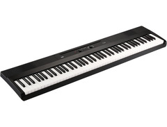 Korg Liano image 3