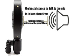 Antique Vintage Classic Cinema Theater Auditorium Speech Live Vocal 25mm Big Diaphragm Condenser Microphone image 4