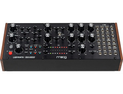Moog Labyrinth image 2
