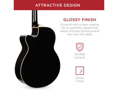 Dingwall Guitars NG3 Adam "Nolly" Getgood Signature 4-string Electric Bass image 4