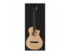 Taylor 312ce-N Nylon image 2