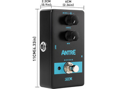 Satone Antre Reverb image 4
