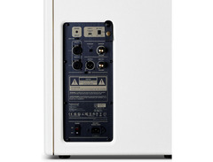 Positive Grid Spark Cab 140-watt 1 x 10-inch Powered Guitar Cabinet - Pearl image 3