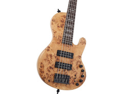 Sire USA Marcus Miller F10 5-string Bass Guitar image 4
