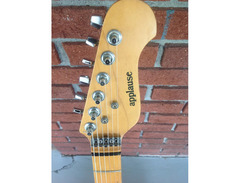 Applause Stratocaster Copy image 3