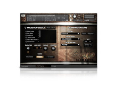 Soundiron Apocalypse Elements - Player Edition image 4