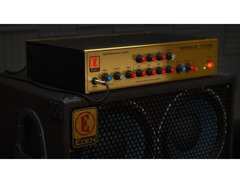 Eden Amplification WT800 image 4
