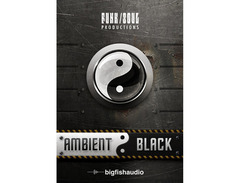Funk/Soul Productions Ambient Black image 3