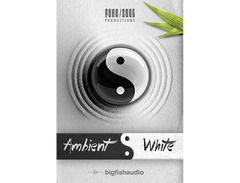 Funk/Soul Productions Ambient White image 3