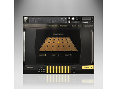 Heavyocity - Ensemble Woods Collection image 3
