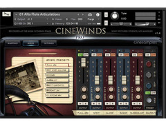Cinesamples CineWinds PRO image 2