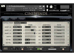Cinesamples CineWinds CORE image 3
