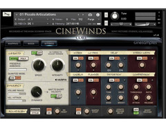 Cinesamples CineWinds CORE image 4