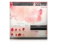 Soundiron - Voice of Wind: Adey image 2