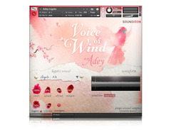 Soundiron - Voice of Wind: Adey image 3