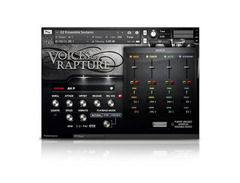 Soundiron - Voices Of Rapture image 3
