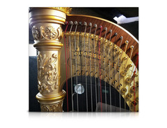 Elysium Harp image 3