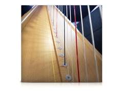 Elysium Harp image 4