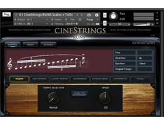 Cinesamples CineStrings RUNS image 2