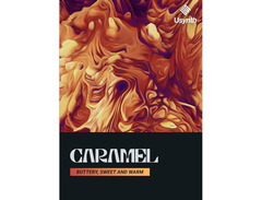 UJAM Usynth Caramel Virtual Synthesizer image 3