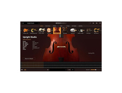 IK Multimedia MODO BASS 2 image 4