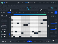 Audiomodern Playbeat 3 + Riffer Bundle image 3
