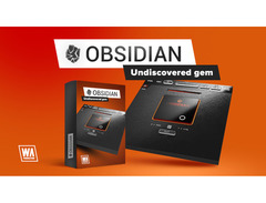 W.A. Production Obsidian image 2
