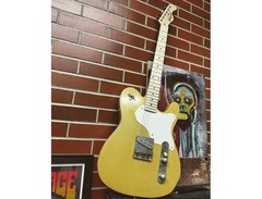 Echopark Echocaster ESQ image 2