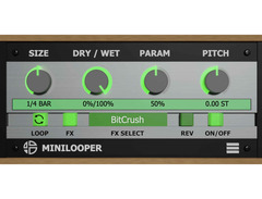 Audio Blast MiniLooper image 2