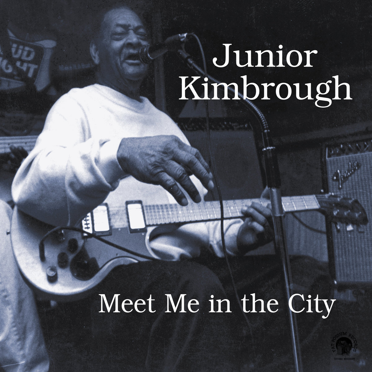 junior kimbrough guitar