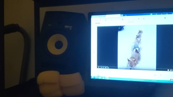 ...