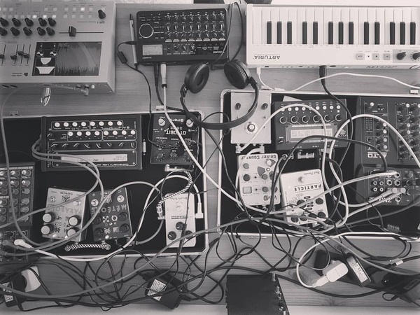 Caroline Guitar Company Parabola Solid State Tremolo - What To