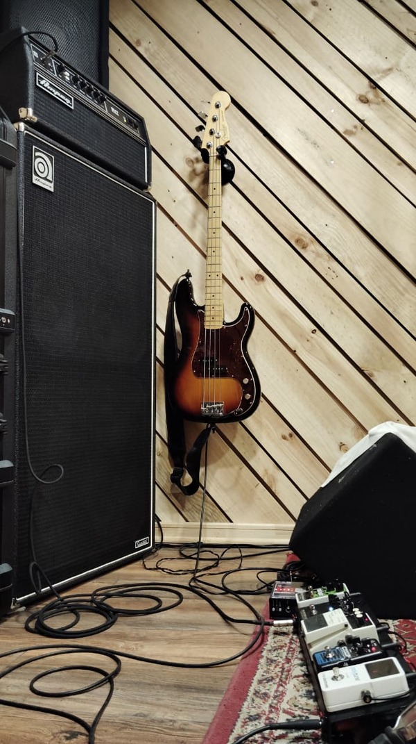 Carlos Morales's' Boss NS-2 Noise Suppressor