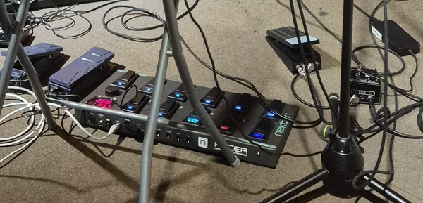Parannoul's' Boss FV-50H Stereo Volume Pedal