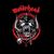 marshall_el34