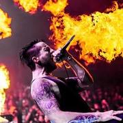 Raised Fist
