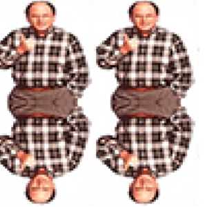 lachycope