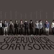 Kim Heechul, member of Super Junior