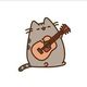 casinocat