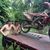 brad_owen