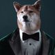 dogsxlove54