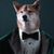 dogsxlove54