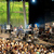 See how Clueso uses Starfield Altair