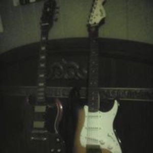 damon_shropshire
