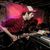 See how Larry Kaye uses TC Electronic Quintessence Harmonizer