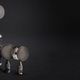 Jack Palmer 2000