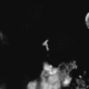 samr315