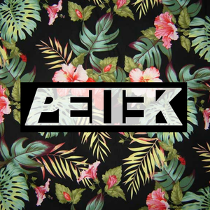 pelleknegjes